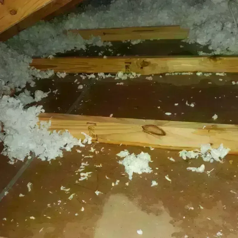 Attic Water Damage in Nowthen, MN