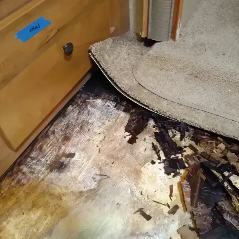 Best Wood Floor Water Damage Service in Nowthen, MN